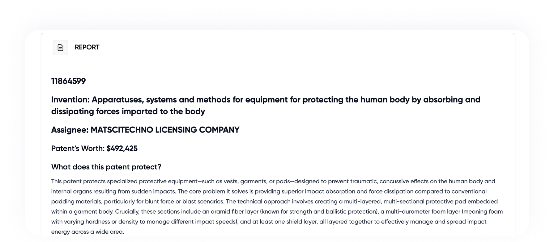 Patent report interface
